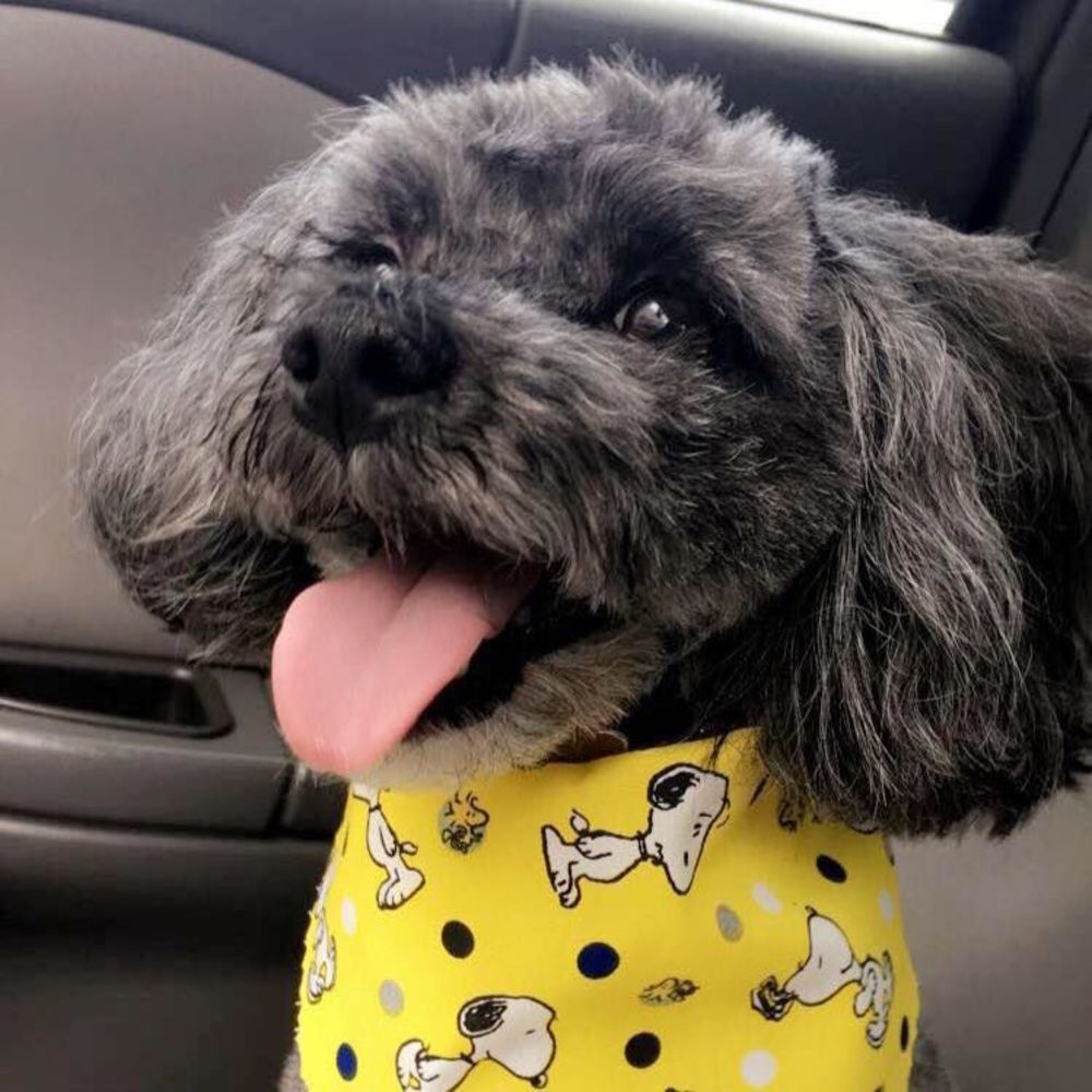 Meet your Posher, Hajnika